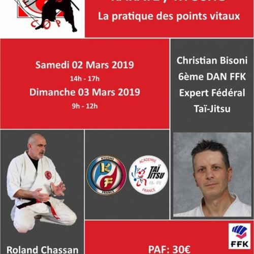 Stage Kyusho avec Chassan Roland et Bisoni Christian (Karaté et Tai-Jitsu) Stage Kyusho avec Chassan Roland et Bisoni Christian (Karaté et Tai-Jitsu)